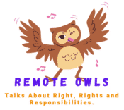 Remote Owls Logo